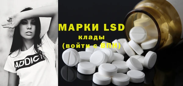 индика Семилуки