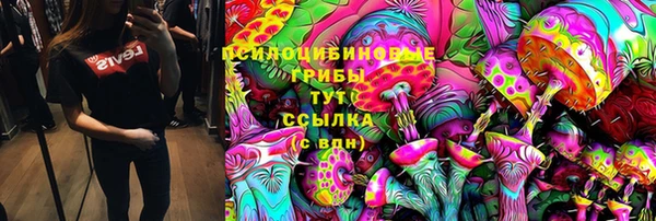прущая мука Белокуриха