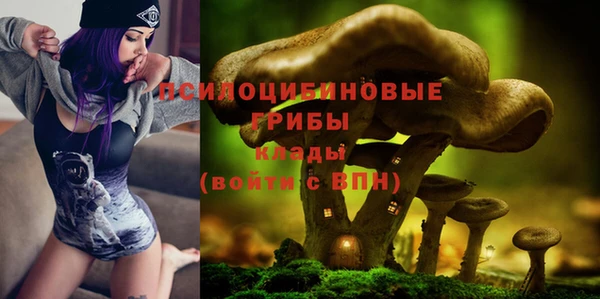 прущая мука Белокуриха